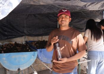 Desarrolla la UAT biofertilizantes líquidos a partir de lombricomposta