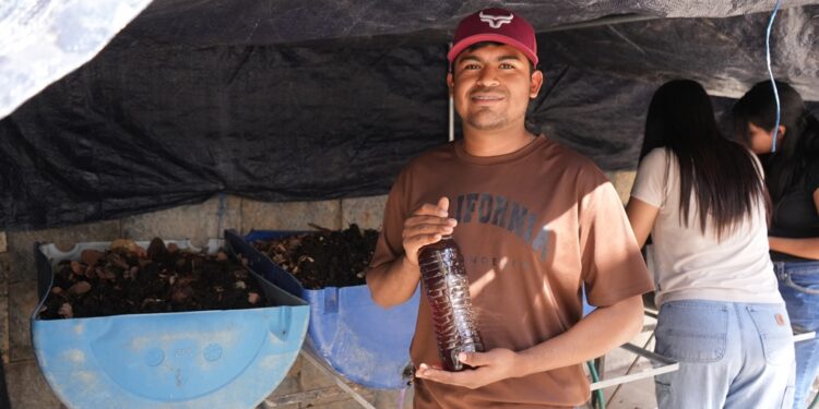 Desarrolla la UAT biofertilizantes líquidos a partir de lombricomposta