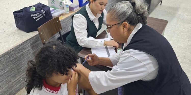 Casos de sarampión disminuyen en el país Tamaulipas sigue con vacunación y sin contagios
