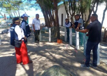 Fortalece Tamaulipas intercambio técnico para la conservación de la tortuga lora