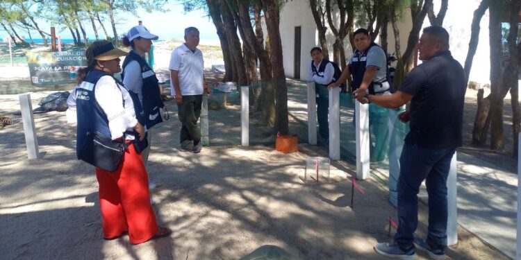 Fortalece Tamaulipas intercambio técnico para la conservación de la tortuga lora