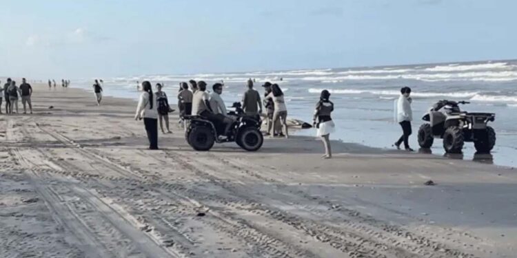 Muere menor atropellado por Razer en Playa La Pesca; tragedia desata críticas por falta de vigilancia