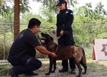 Redobla SSPT medidas de protección a elementos caninos de la Guardia Estatal ante altas temperaturas