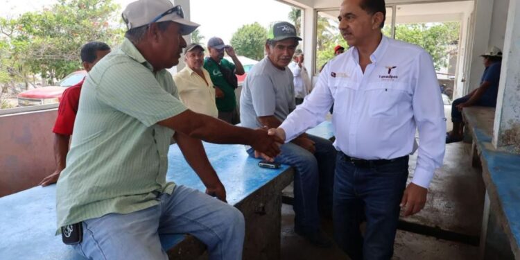 Exhortan a fortalecer proyecto de granjas de ostión en Barra del Tordo
