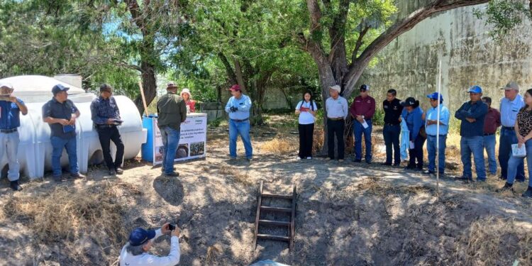Promueven uso de residuos orgánicos para fortalecer la productividad agrícola