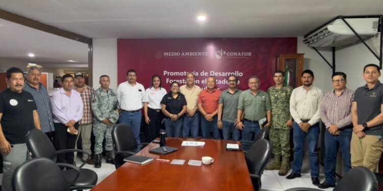 Refuerza Tamaulipas estrategia interinstitucional contra incendios forestales