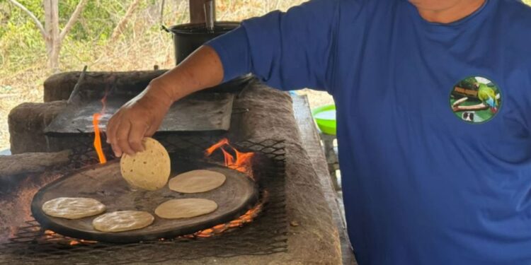 Tamaulipas te lleva al gol con Nueve Rutas de Fútbol