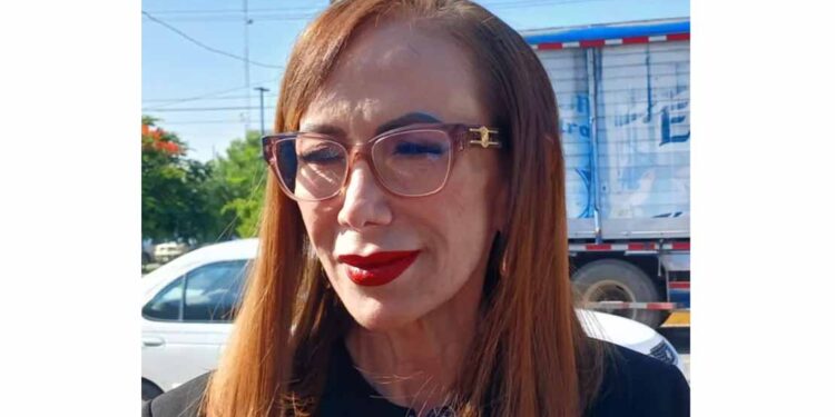 Sería apócrifa harina con logo del DIF Tamaulipas vendida en Alemania