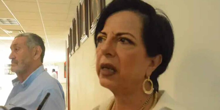Bajan deportaciones en Reynosa, pero persiste falta de coordinación con autoridades de EU: Eva Reyes