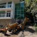 Modernizan el Centro Interpretativo Ecológico de Gómez Farías