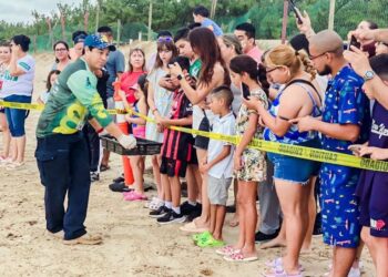 Viven familias la primera liberación pública de tortuga lora en La Pesca