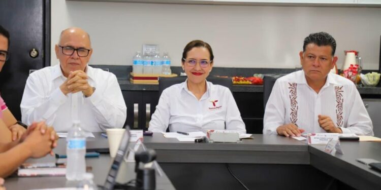Refuerza SST trabajo Interinstitucional para la Regularización de Centros de Rehabilitación de Adicciones