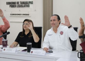 Impulsan en comisiones reformas derivadas de la Ley Valeria