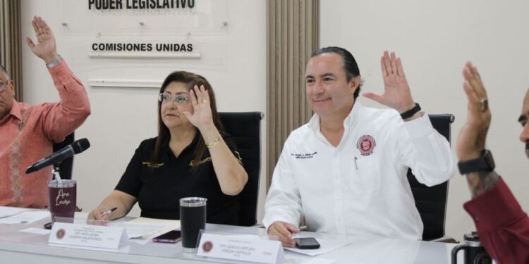 Impulsan en comisiones reformas derivadas de la Ley Valeria