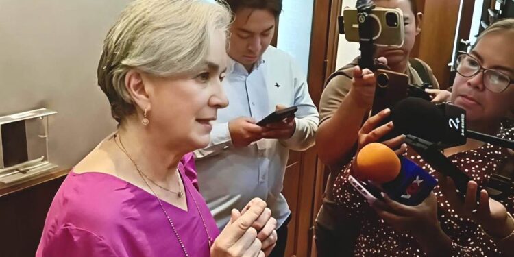 Alista DIF Centro Especializado en Victoria para atender adicciones en menores: María Santiago
