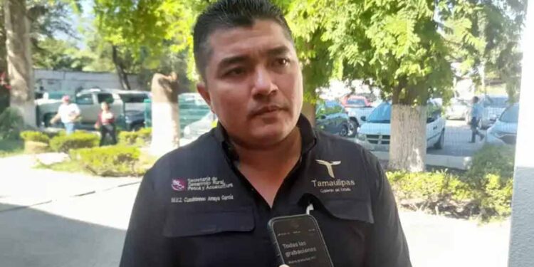 Disminuyen a 112 casos de gusano barrenador en Tamaulipas
