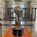 Abre sus puertas en Palacio de Gobierno la exposición “Un golazo en el tiempo”