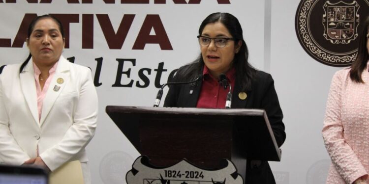 Legislación sobre paneles solares no los grava; previene accidentes