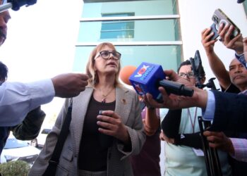 Morena debe cuidarse de los caballos de Troya de sangre azul: Magaly Deandar
