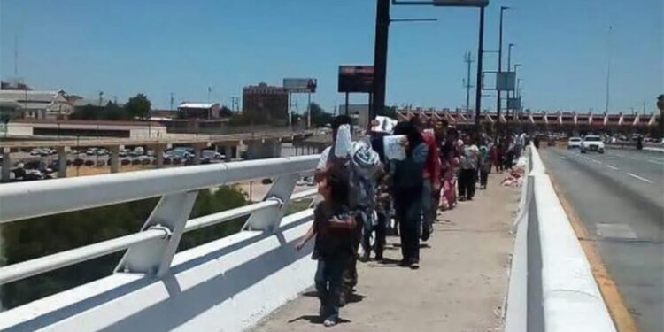 Toca migración mínimos históricos en la frontera tamaulipeca