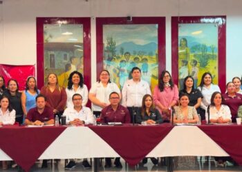 Reafirma SIPINNA Tamaulipas compromiso con la primera infancia durante Quinta Sesión