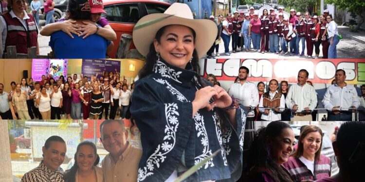 Fuentes fidedignas/ Olga Sosa: Senadora de territorio