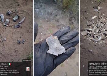 Hallan más restos humanos en brecha de Reynosa