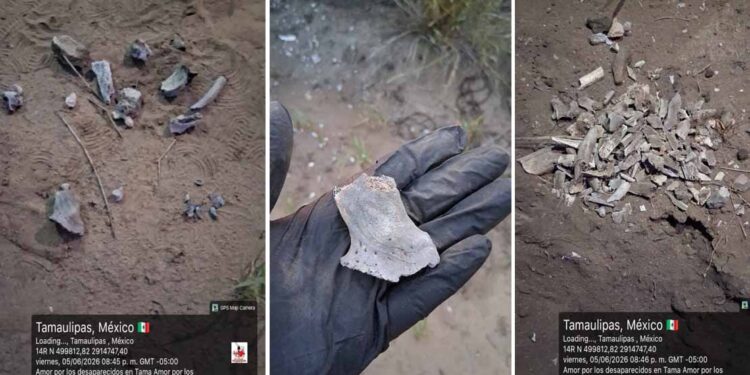 Hallan más restos humanos en brecha de Reynosa