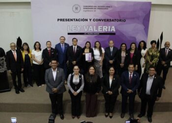 Ley Valeria: un llamado a visibilizar y prevenir la violencia de acecho