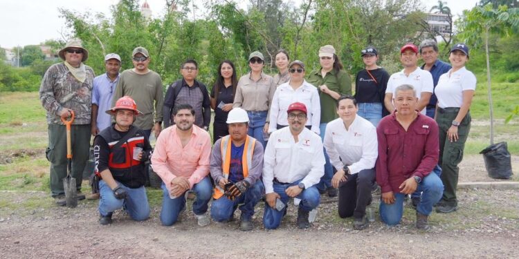 Fortalece SEDUMA reforestación urbana en Parques del Bienestar