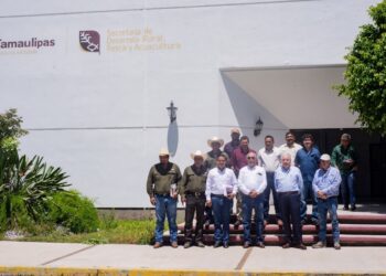 Fortalecen vigilancia fitosanitaria para contener el cancro de los cítricos