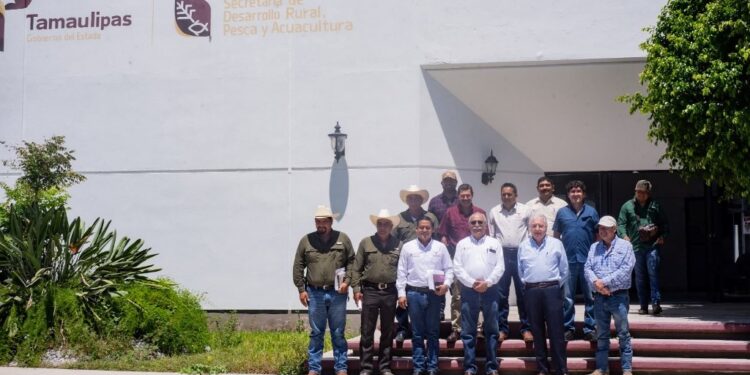 Fortalecen vigilancia fitosanitaria para contener el cancro de los cítricos