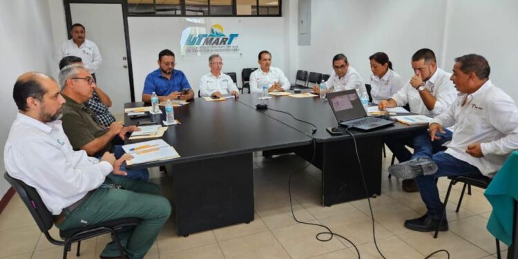 Apuestan por la ostricultura como motor de desarrollo regional y empleo