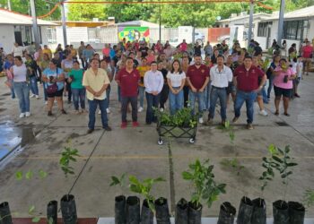 Conmemoran Día Mundial del Medio Ambiente con jornadas de reforestación