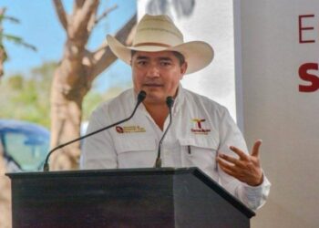 Lidera Tamaulipas la producción nacional de carbón vegetal