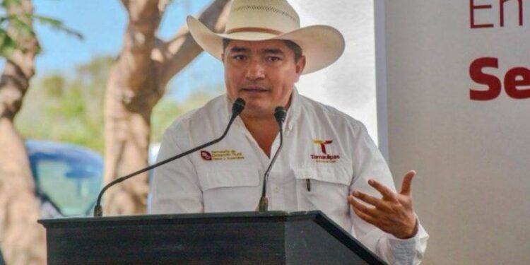 Lidera Tamaulipas la producción nacional de carbón vegetal