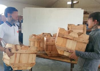 Impulsa DEMA conciencia ambiental y capacitación laboral en adolescentes