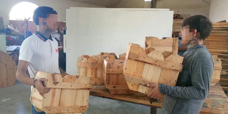 Impulsa DEMA conciencia ambiental y capacitación laboral en adolescentes