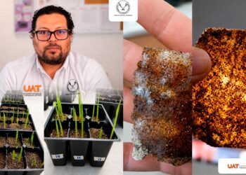 Patenta la UAT bioplásticos que recuperan suelos erosionados