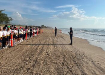 Fortalece Tamaulipas educación ambiental mediante liberación de crías de tortuga lora
