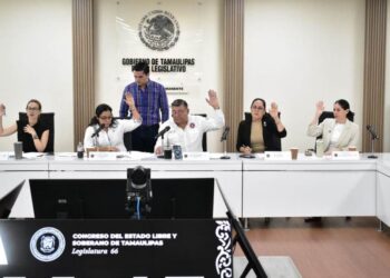 Diputada Francisca Castro propone fortalecer la transparencia financiera de los municipios