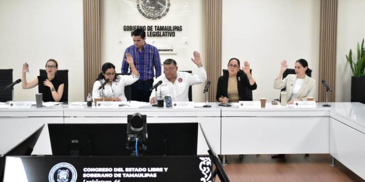 Diputada Francisca Castro propone fortalecer la transparencia financiera de los municipios