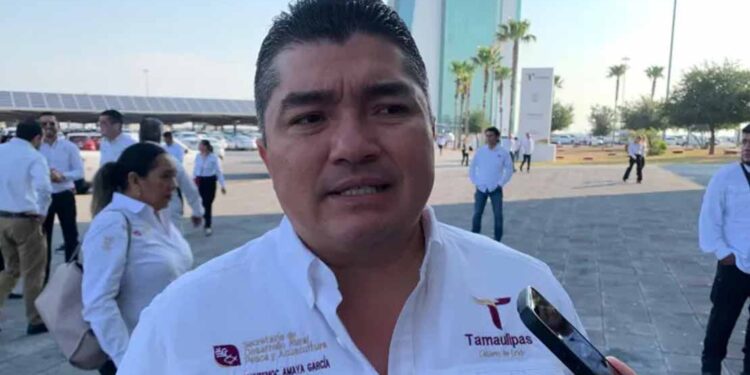 A finales de agosto reiniciará exportación de ganado a EU