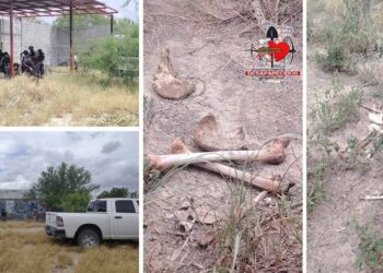 Confirman hallazgo de restos humanos en Miguel Alemán