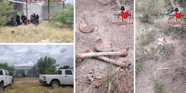 Confirman hallazgo de restos humanos en Miguel Alemán