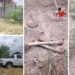 Confirman hallazgo de restos humanos en Miguel Alemán