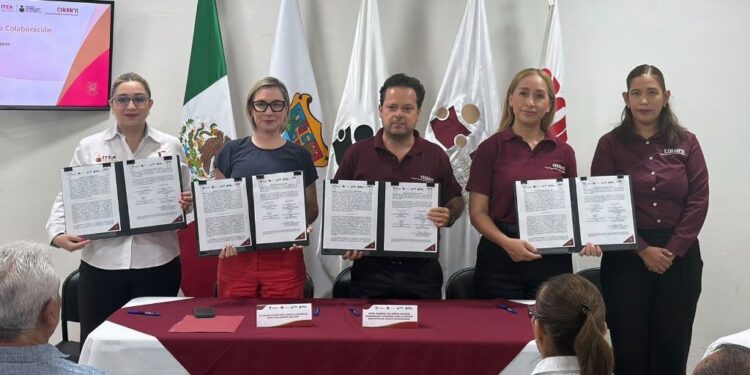 Amplían ITEA y CONAFE oportunidades de educación básica para personas adultas en Tamaulipas