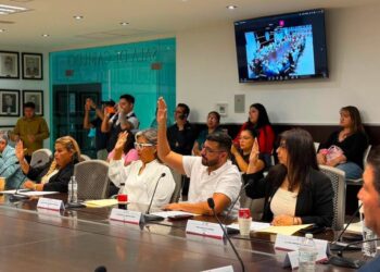 Da luz verde Cabildo de Reynosa a Comisión de Diversidad