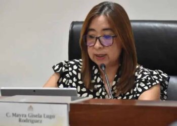 Mínimo interés de grupos vulnerables por consejerías electorales
