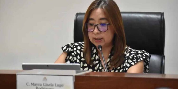 Mínimo interés de grupos vulnerables por consejerías electorales
